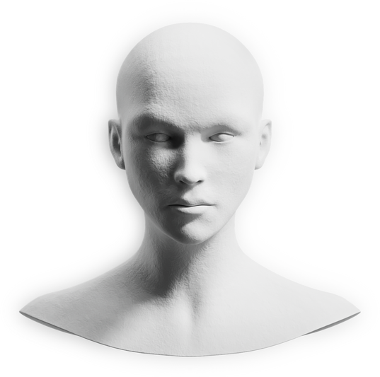 3D Surrealism Female Plaster Bust
